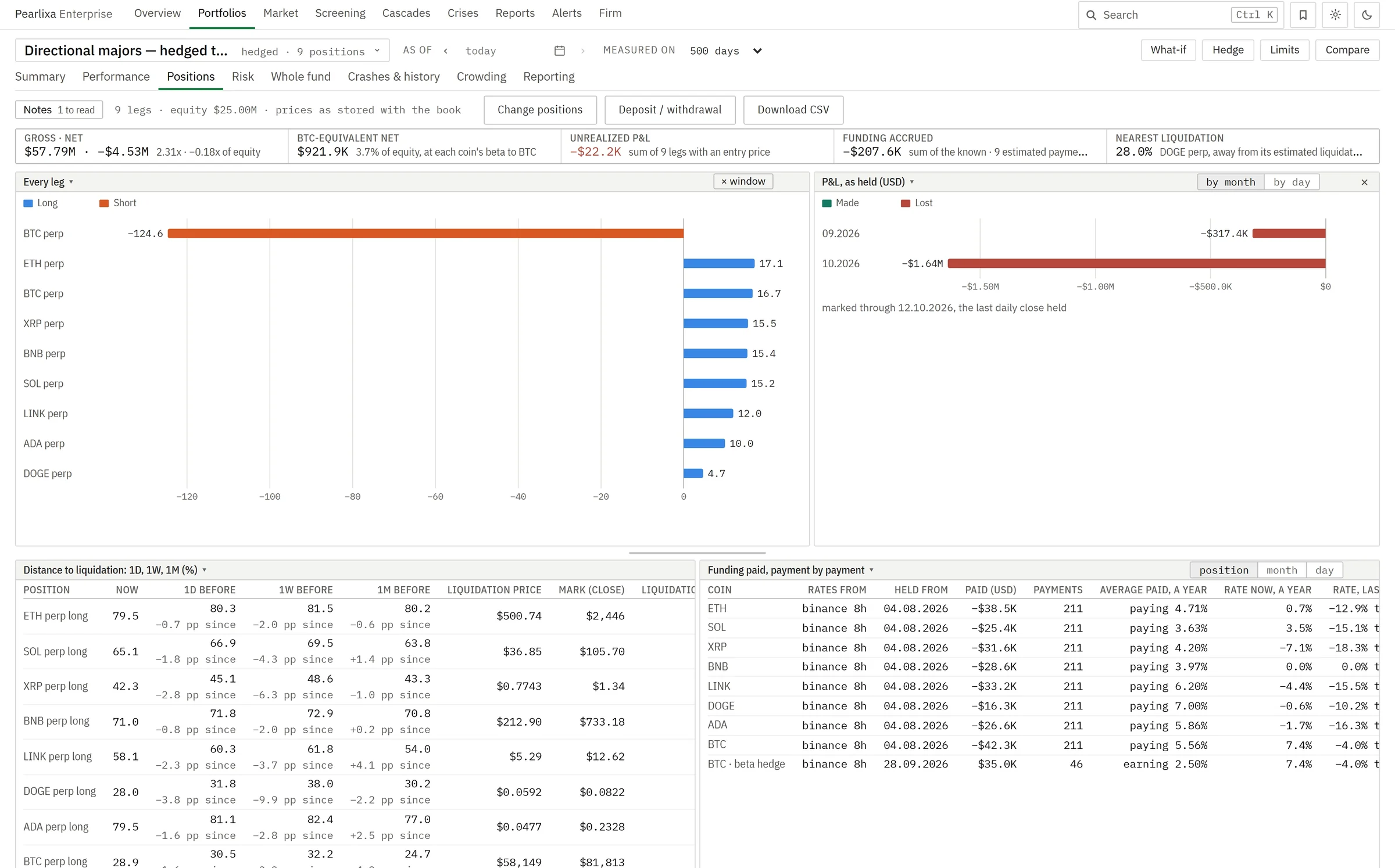 The platform's positions page for a demonstration portfolio: key figures, every leg long and short, P&L by month, distance to liquidation and funding paid.